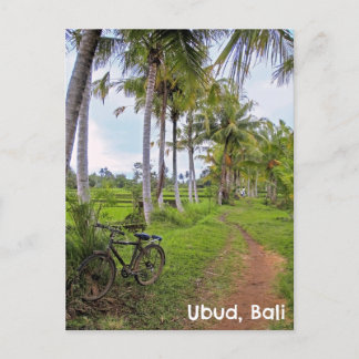 Postcard Ubud Bali Indonesia rice fields bike