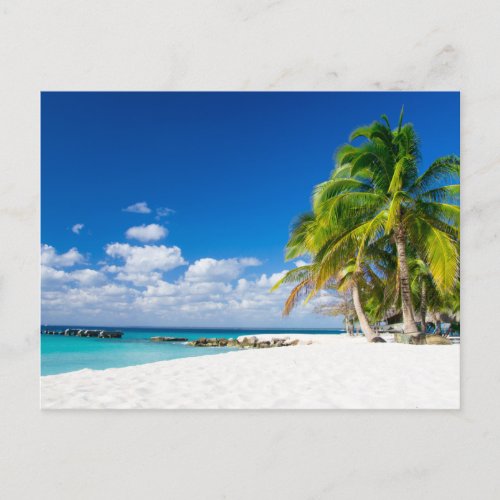 Postcard _ Under the Tropical Sun