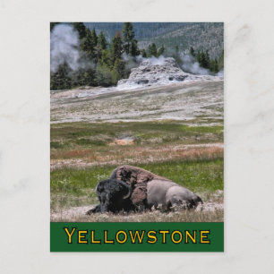 Postcard: Upper Geyser Basin Sentinel Postcard