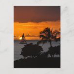 Postcard Vertical - Hawaiian Sunset at Zazzle