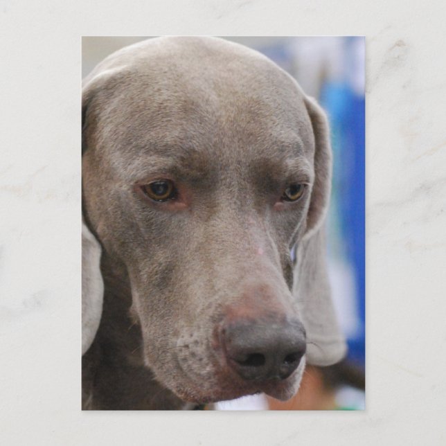 Postcard Vertical Template - Customized (Front)