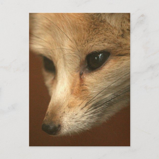 Postcard Vertical Template - Customized (Front)