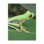 Postcard Vertical Template - Customized