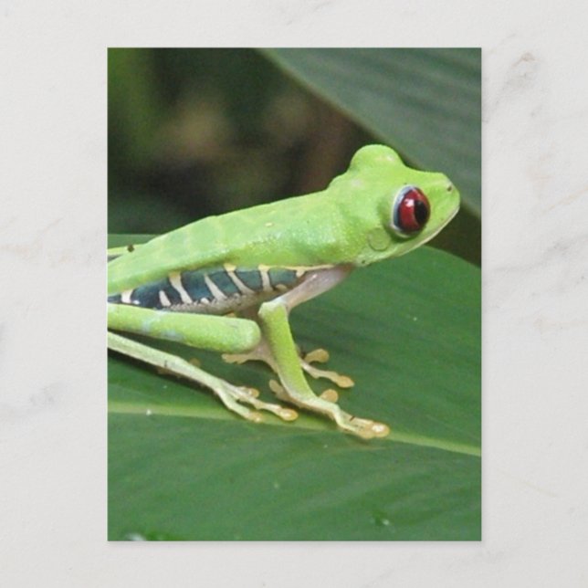 Postcard Vertical Template - Customized (Front)