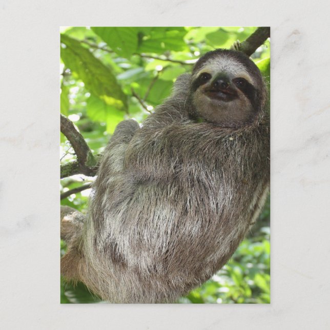 Postcard Vertical Template - Customized (Front)