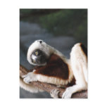 Postcard Vertical Template - Customized