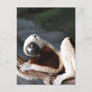 Postcard Vertical Template - Customized