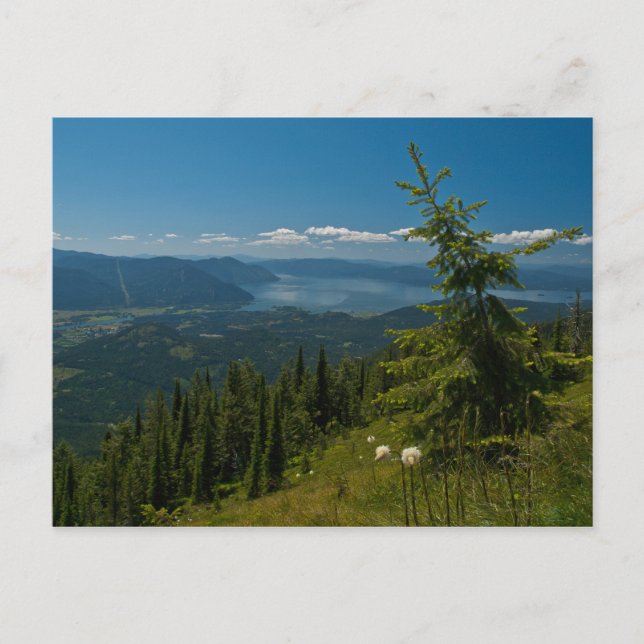 POSTCARD ~ View of Clark Fork from Scotchman Peak (Front)