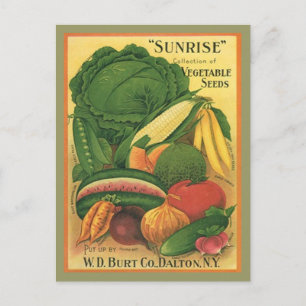 Postcard Vintage Antique Burt Co Vegetable Seeds