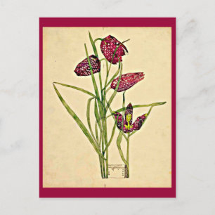 Postcard-Vintage Art-Charles Rennie Mackintosh 18 Postcard