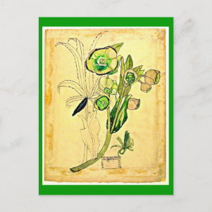 Postcard-Vintage Art-Charles Rennie Mackintosh 19 Postcard