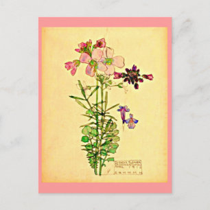 Postcard-Vintage Art-Charles Rennie Mackintosh 28 Postcard