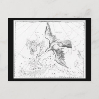 Postcard-Vintage Astrology/Divination 12 Postcard
