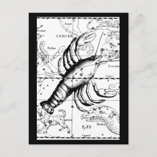 Postcard-Vintage Astrology/Divination-5 Postcard