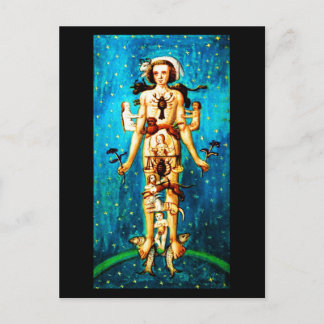 Postcard-Vintage Astrology/Divination 7 Postcard
