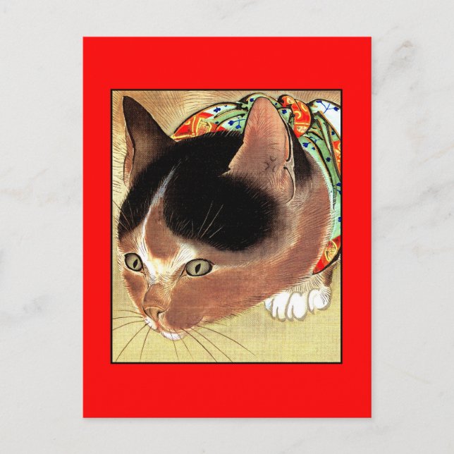 Postcard: Vintage Cat Art: "Curious Kitty Cat" Postcard (Front)