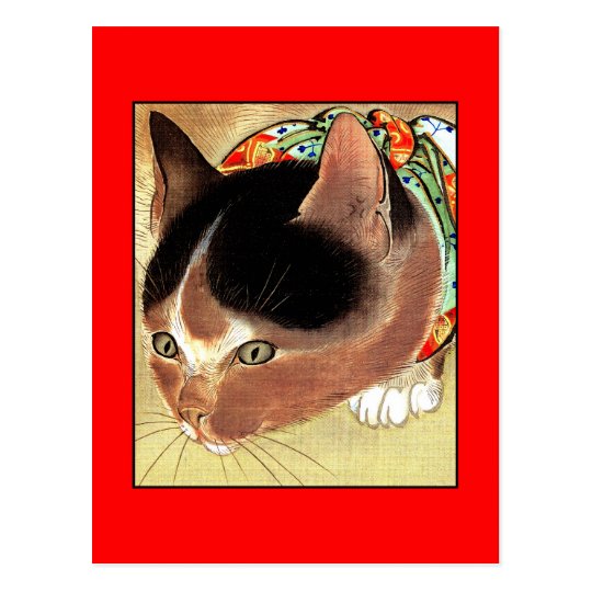 Postcard: Vintage Cat Art: "Curious Kitty Cat" Postcard