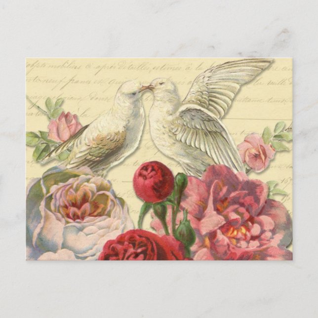 Postcard: Vintage Doves with Roses Postcard (Front)