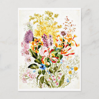 Postcard-Vintage Illustration-Beatrix Potter 10 Postcard