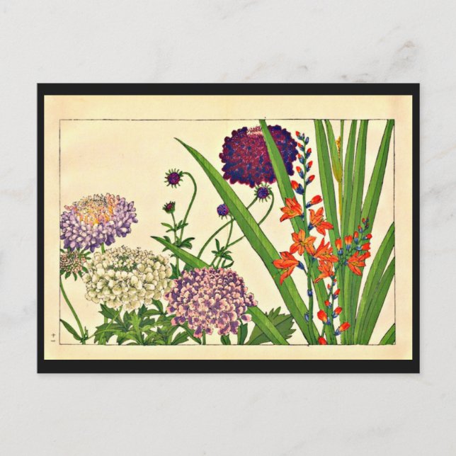 Postcard-Vintage Japanese Art-Tanigami Konan 2 Postcard (Front)