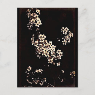 Postcard-Vintage Photography-Charles Aubry 27 Postcard