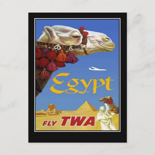 Postcard Vintage Travel Egypt Camel