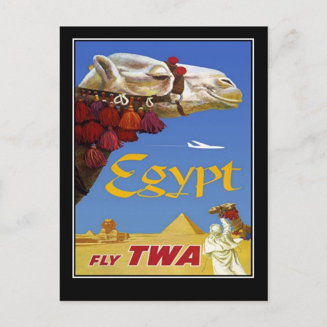 Postcard Vintage Travel Egypt Camel (Front)