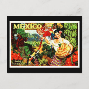 Postcard-VIntage Travel-Mexico 2 Postcard