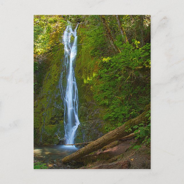 Postcard Waterfall in Forest (Front)