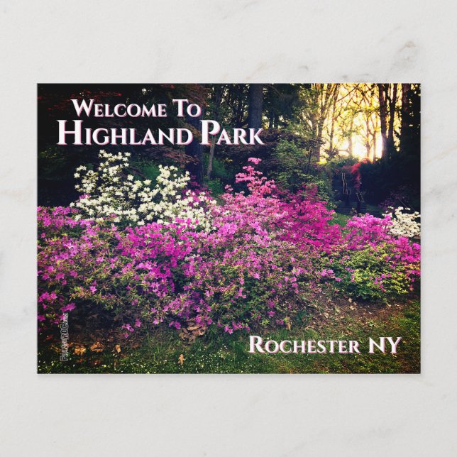 Postcard - Welcome to Highland Park Rochester NY (Front)