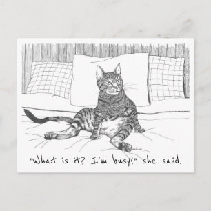 postcard: "What do you want?" (Lily) Postcard