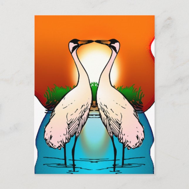 Postcard-Whooping Crane Love Birds Postcard (Front)