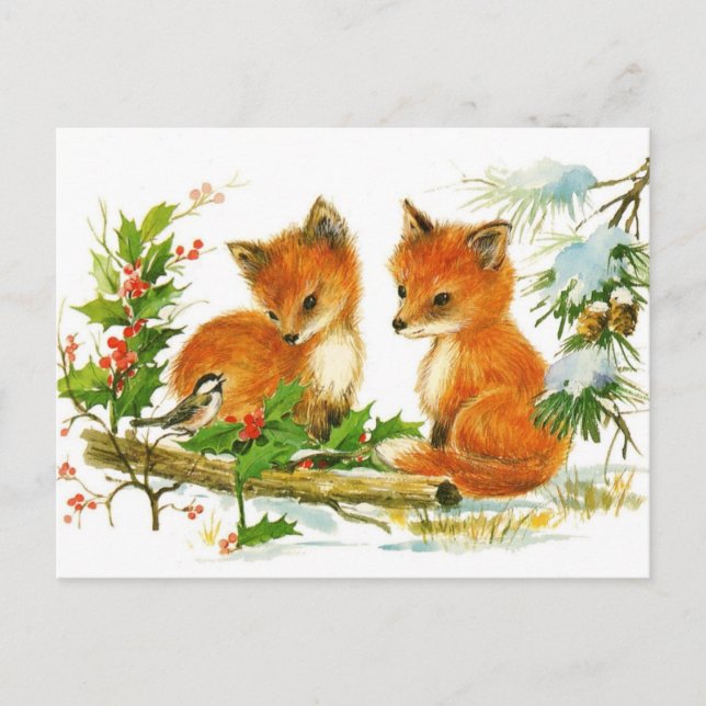 Postcard:  Winter Snow Foxes Postcard (Front)
