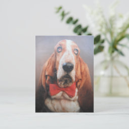 basset hound bow tie