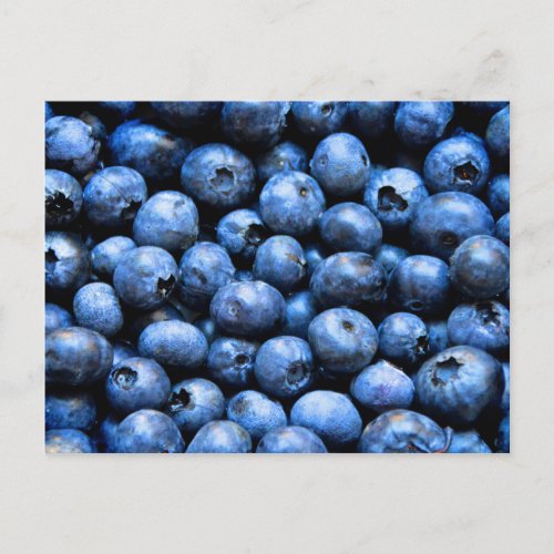 Postcard with blueberries