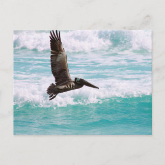Postcard with flying pelican against the water