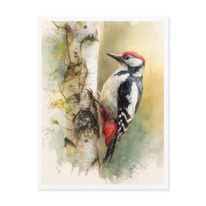 Postcard. Woodpecker Postcard