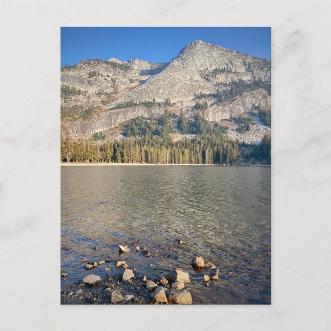 Postcard - Yosemite National Park, California (Front)