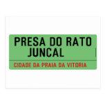 presa do rato     juncal  Postcards
