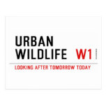 URBAN WILDLIFE   Postcards