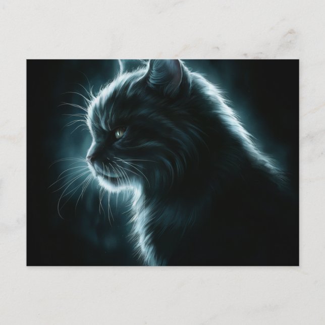 Postcards Cat Série 12 (Front)