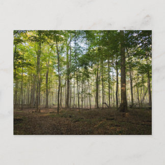 Postcards of Nature Images