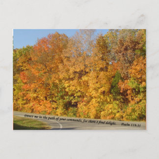 Postcards: Path to Delight Postcard