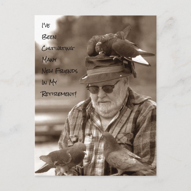 Postcards pigeons birds Retirement Humor funny (Front)