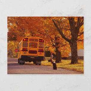 POSTCARDS SCHOOL BUS