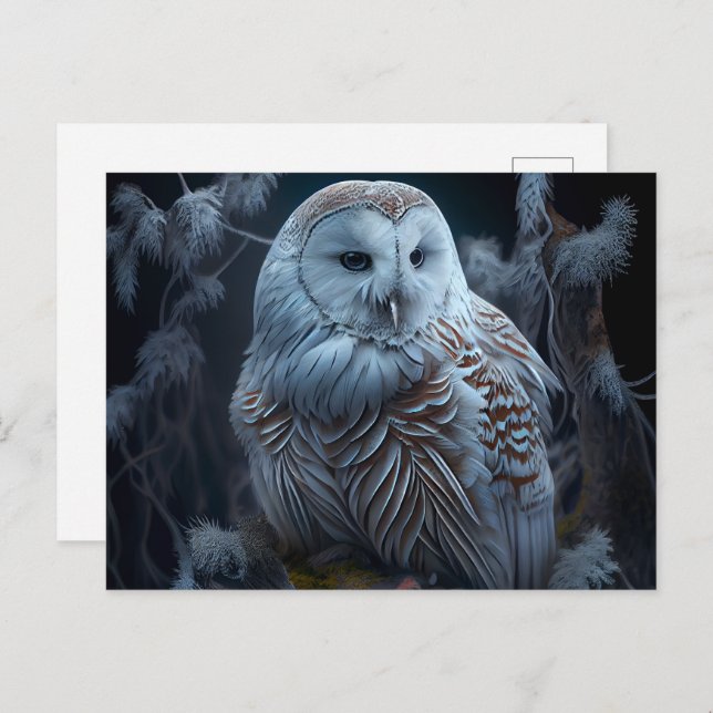 Postcards snowy owl (Front/Back)