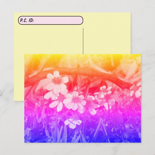 Postcrossing 70's Vibe Wildflowers w/ ID Box Postcard (Front/Back)