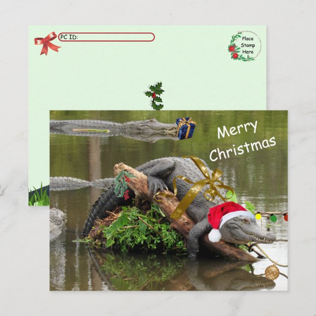 Postcrossing American Alligator Christmas Postcard (Front/Back)
