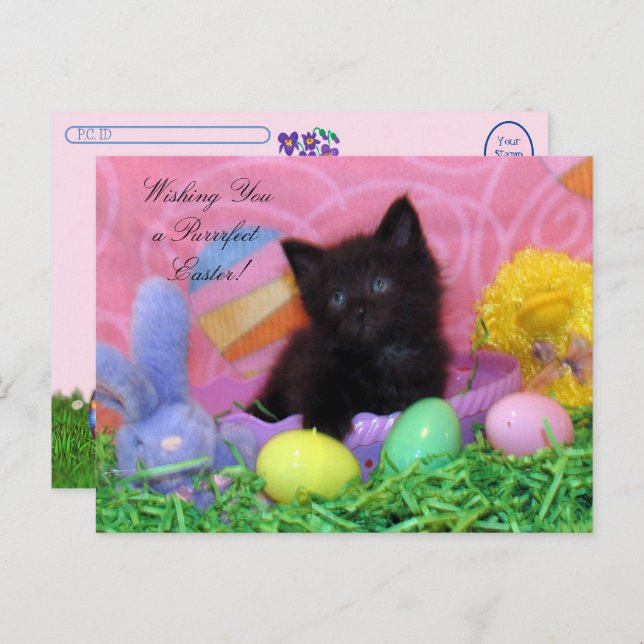 Postcrossing - Angel the Kitten's Easter Wishes Postcard (Front/Back)