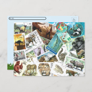 Postcrossing Animal Postage Stamps Postcard